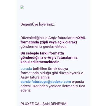 Pluxee Faturamı Kabul Etmiyor. Ödeme Alamıyorum