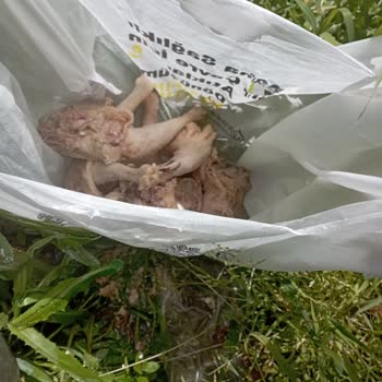 Trakya Köy Ürünleri Bunu CİMER'e De Şikayet Edeceğim