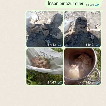 Trakya Köy Ürünleri Bunu CİMER'e De Şikayet Edeceğim