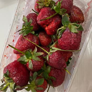 Migros Sanal Market Çürük Çilekler