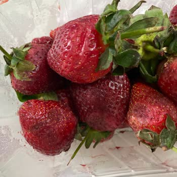 Migros Sanal Market Çürük Çilekler