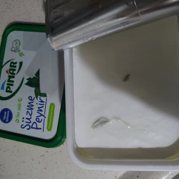 Pınar Et ve Süt Süzme Peynirde Küf Sorunu