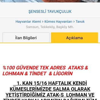 Şensesli Tavukçuluk'tan Şikayetçiyim!
