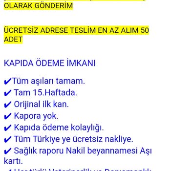 Şensesli Tavukçuluk'tan Şikayetçiyim!