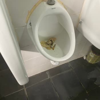 Sağlık Bakanlığı Askoç Dinlenme Tesisleri Hijyen Eksikliği Ve Sağlık Tehlikesi