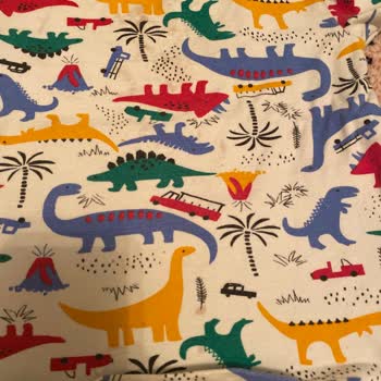 Bosch Makinem Lekeleri Çıkarmıyor