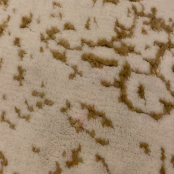 Tunahan Halı Yıkama Lekeli Halı Geri Getiriyor