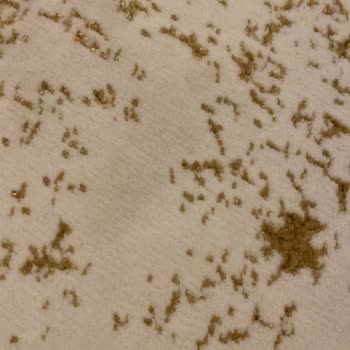 Tunahan Halı Yıkama Lekeli Halı Geri Getiriyor