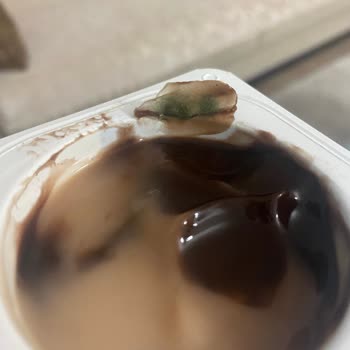 Danette 2lim İçinden Küf Çıktı