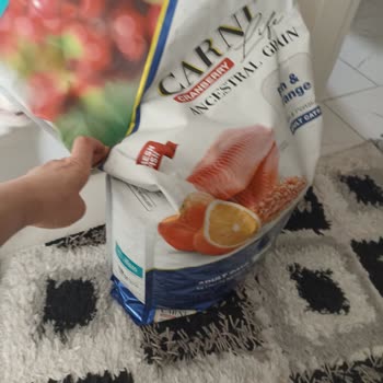 Yeşil Lisans, Trendyol Özensizliği