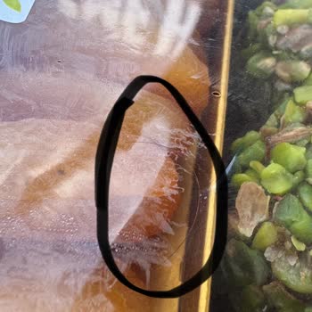 Malatya Pazarı Murat Palancı Paketinden Çıkan Kocaman Kıl!