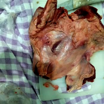 Migros Sanal Market Kasap Reyonu Özensiz Alakasız Et Göndermesi