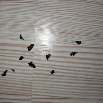 Yui Y1 Yürüyüş Bandı