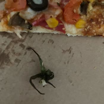 Domino's Pizzadan Domates Sapı Çıktı