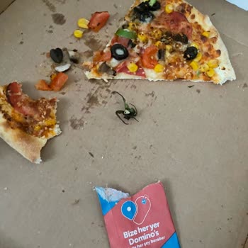 Domino's Pizzadan Domates Sapı Çıktı