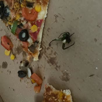 Domino's Pizzadan Domates Sapı Çıktı
