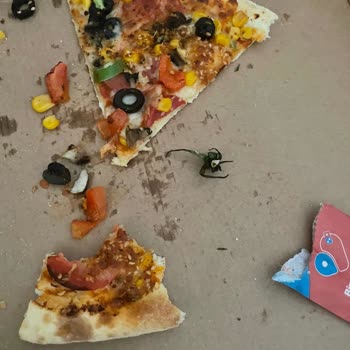Domino's Pizzadan Domates Sapı Çıktı