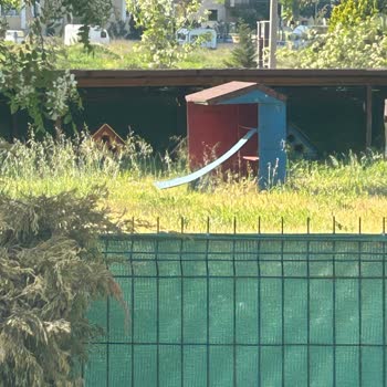 Çanakkale Belediyesi Kedi Köyü Yetkilileri
