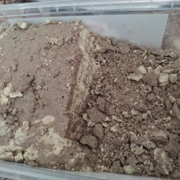 Torku Ne Yazık Ki Bu Sefer Şaşırttı 😔