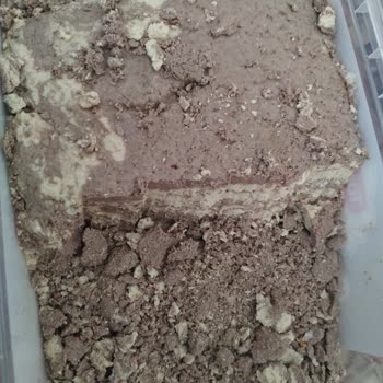 Torku Ne Yazık Ki Bu Sefer Şaşırttı 😔