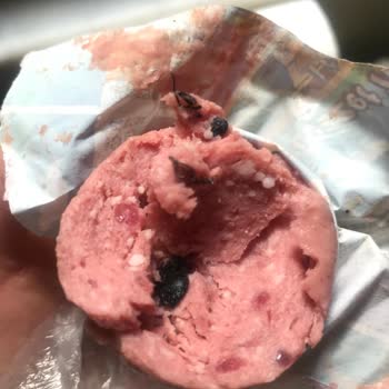 Gün Market Yeşilyayla Macar Salam İçerisinden Böcek Çıktı!
