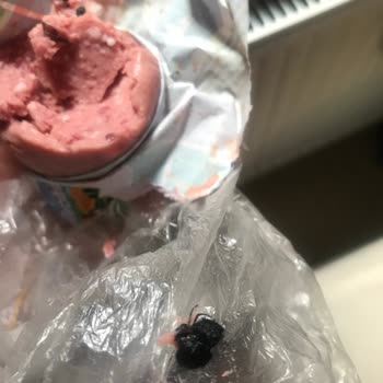 Gün Market Yeşilyayla Macar Salam İçerisinden Böcek Çıktı!