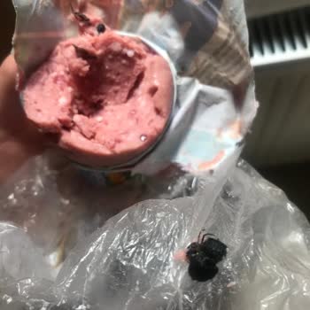 Gün Market Yeşilyayla Macar Salam İçerisinden Böcek Çıktı!
