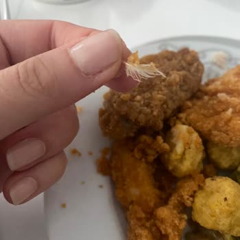 Lezita Çıtır Kova Tüy Sorunu