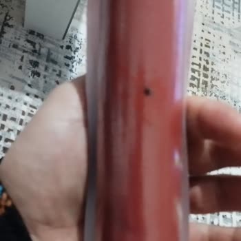 BİM Üründe Böcek Çıktı