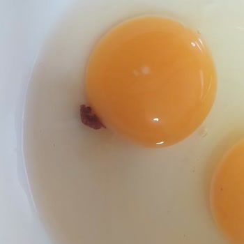 BİM Bu Yumurtadan Çıkanlar Nedir?