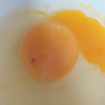 BİM Bu Yumurtadan Çıkanlar Nedir?