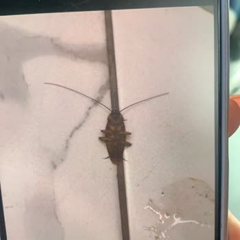 Swiss Inn Hotel Akdeniz Mersin Swiss Inn Hotel Mersin