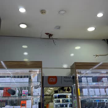 Samsung Bayisi Ve Klima Sorunları