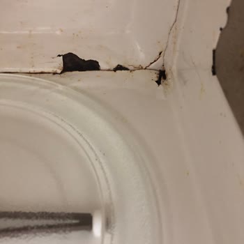 Arçelik Mikrodalga Fırınımın İç Boyası Kalktı Ve Paslandı