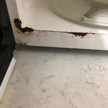 Arçelik Mikrodalga Fırınımın İç Boyası Kalktı Ve Paslandı