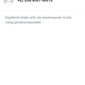 WhatsApp Yabancı Numara