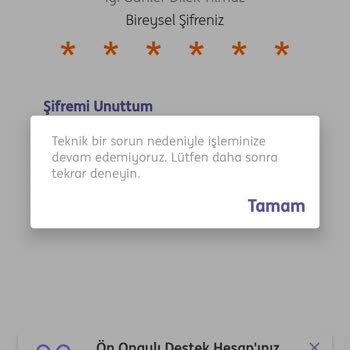 ING Mobil Bankacılık Teknik Sorun