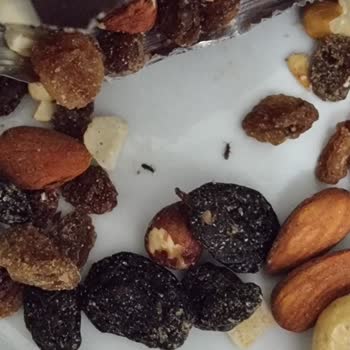 A101 Tett Değiştirilmiş Çerezya Cerez Böceklenmiş