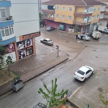 Başkent Elektrik Dağıtım Ağaç Dallarının Tellere Değmesi