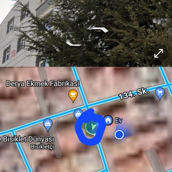 Başkent Elektrik Dağıtım Ağaç Dallarının Tellere Değmesi