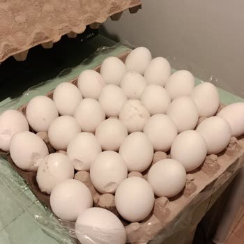 A101 A•101 Kapıda Sipariş Kırık, Eksik Geliyor