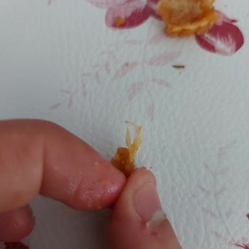 Lezita Çıtır Tavuğun Üzerindeki Tavuk Tüyü