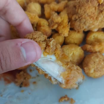 Lezita Çıtır Tavuğun Üzerindeki Tavuk Tüyü