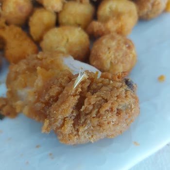 Lezita Çıtır Tavuğun Üzerindeki Tavuk Tüyü