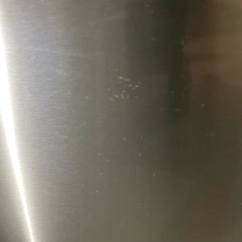 Bosch Refrigerator Multiple Defects and Exorbitant Warranty Repair Quote