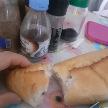 Ankara Halk Ekmek Halk Ekmekten Sinek Çıktı😡