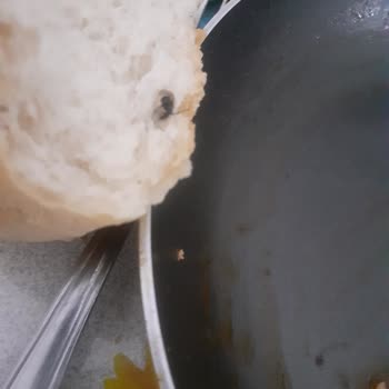 Ankara Halk Ekmek Halk Ekmekten Sinek Çıktı😡