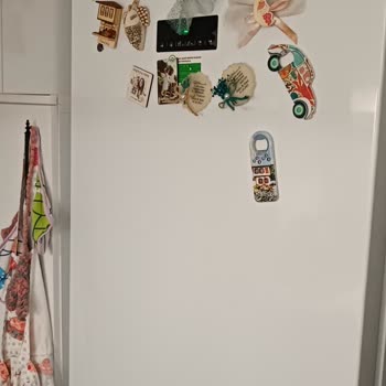 Beko Çamaşır Makinesi Çürüme Sorunu!