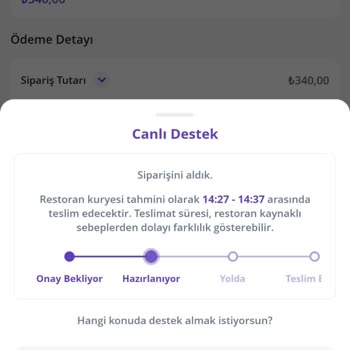 Domino's Pizza Geciken Sipariş, Erişilemeyen Destek