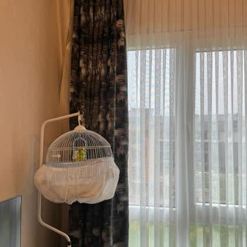 Boss4 Gayrimenkul'ün Su Basan Evleri!